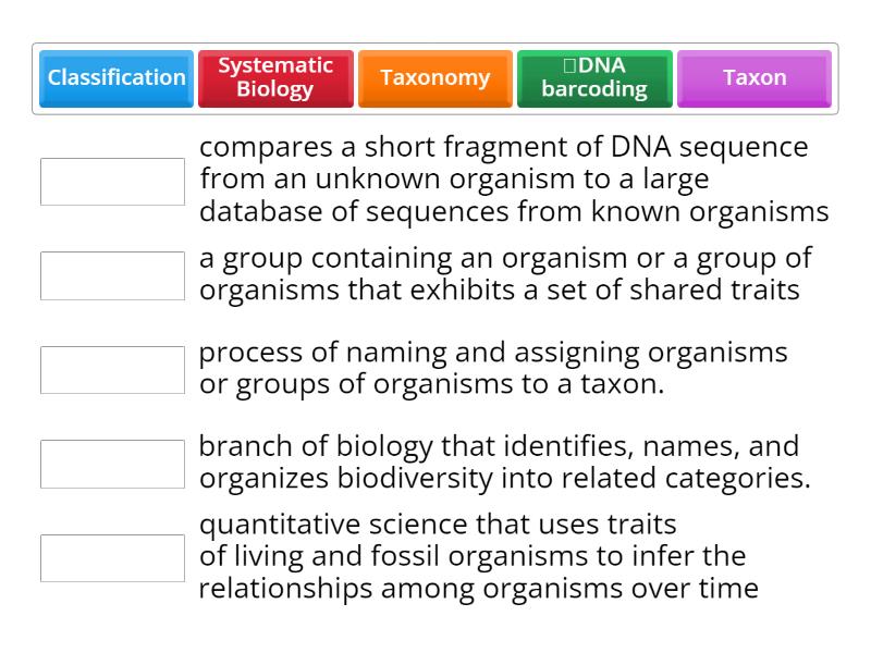 Systematic Biology Definitions Match up