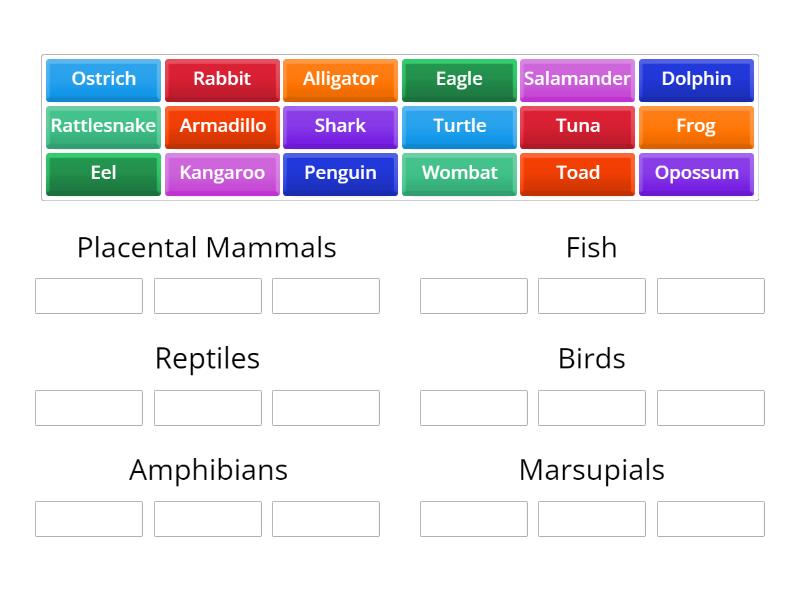 Group Match Example - Group sort