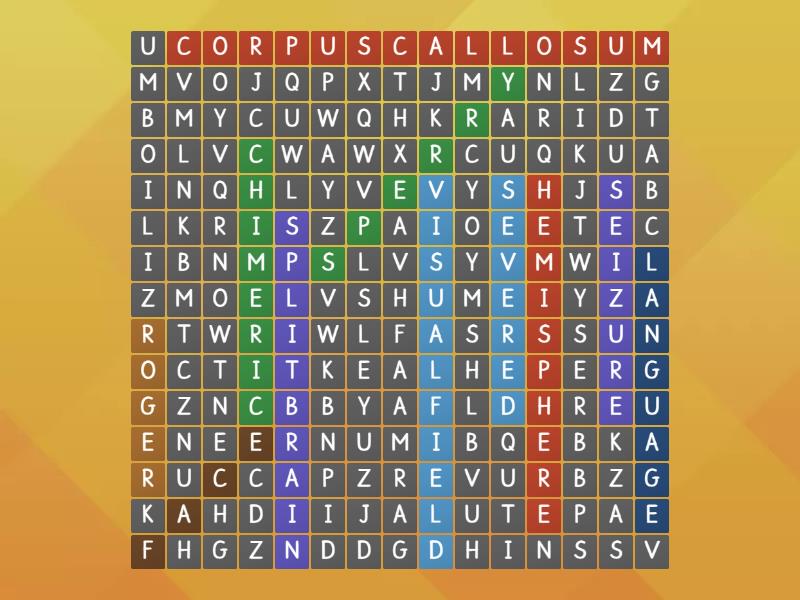 key-words-for-split-brain-wordsearch