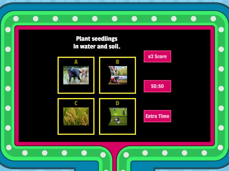 Growing Rice - Gameshow quiz