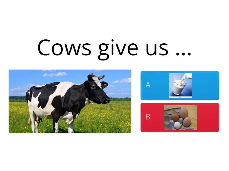 what-do-animals-give-us-quiz