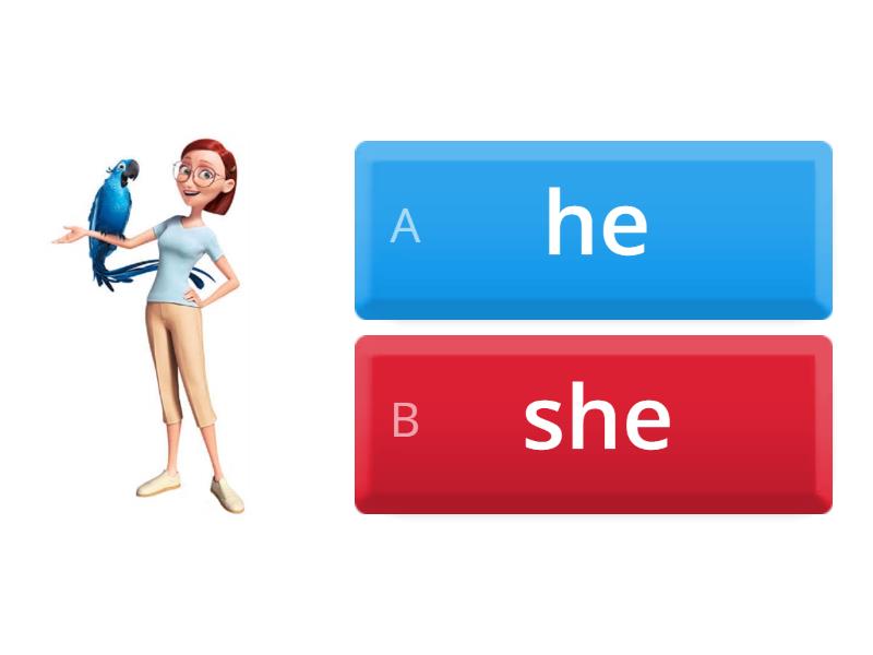 He / She - Quiz