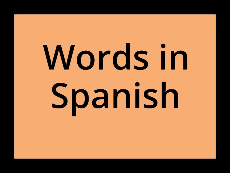 Translate in Spanish 2(versión completa) - Flash cards