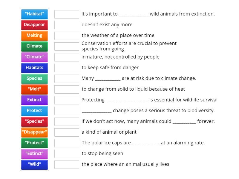 Unit 8 - SATA 08 Vocab - Match up