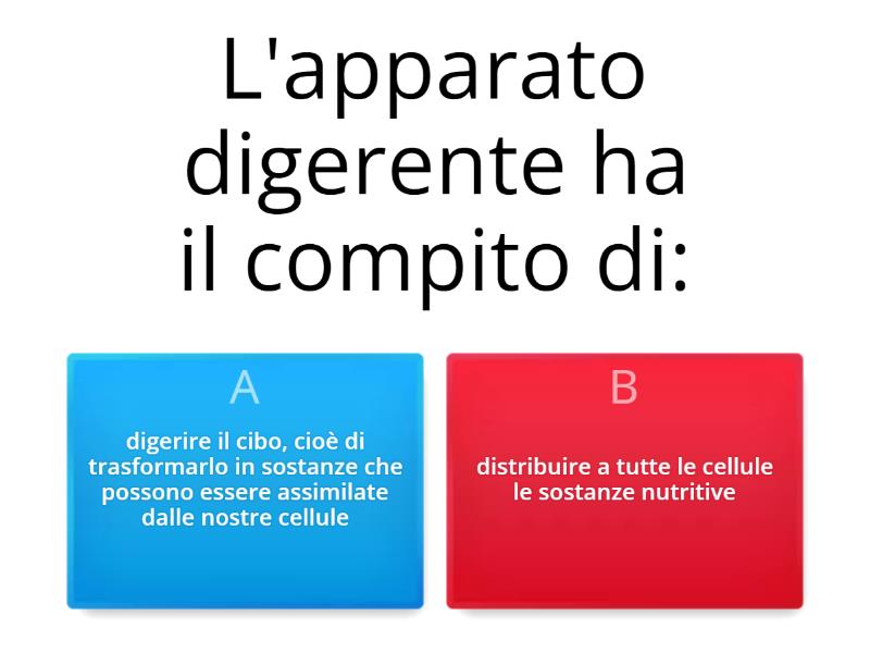 APPARATO DIGERENTE - Quiz