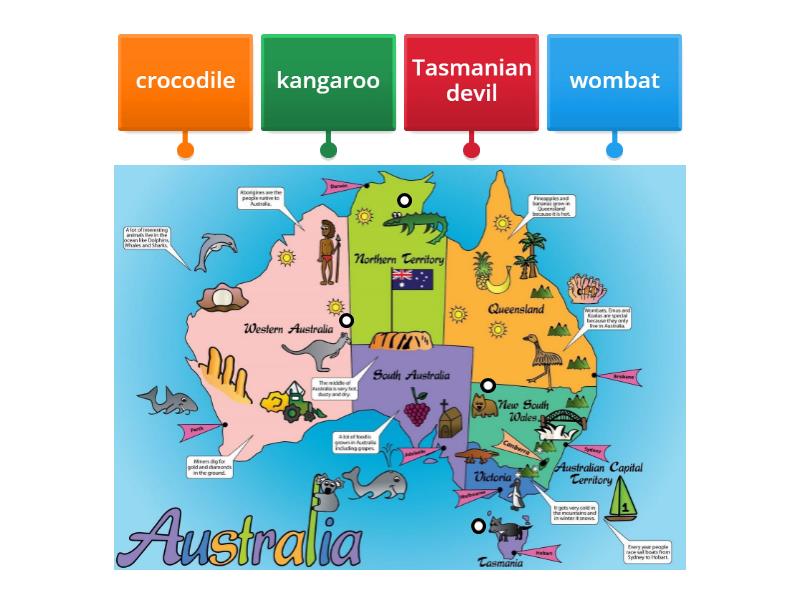 animals map - Labelled diagram