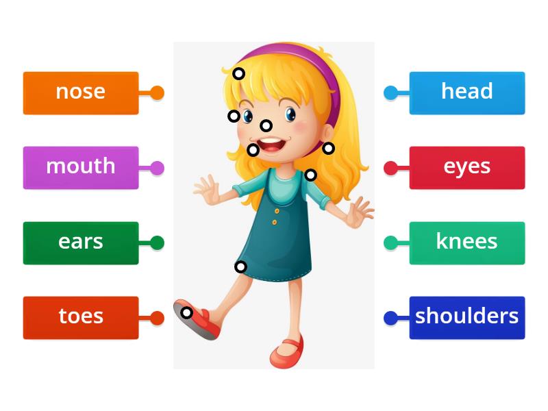 Body Parts (head, Shoulders, Knees And Toes) - Labelled Diagram