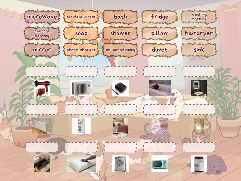 Everyday Items - Match up