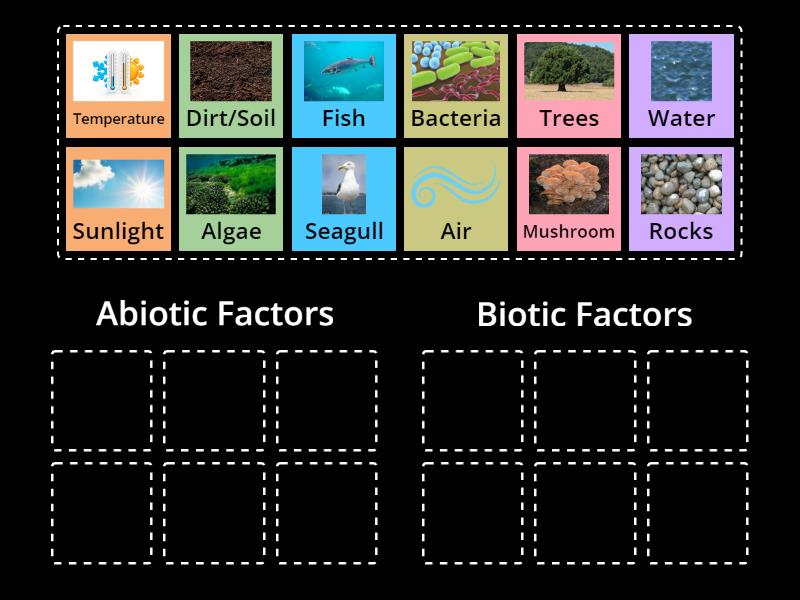 Biotic Vs. Abiotic Factors - Group Sort