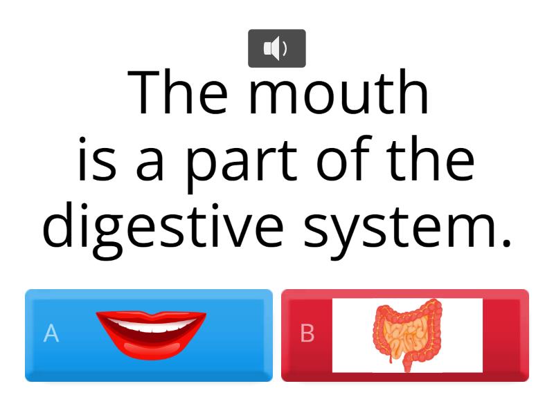 [2425] Khoa 5 Tuần 4 Digestion Quiz