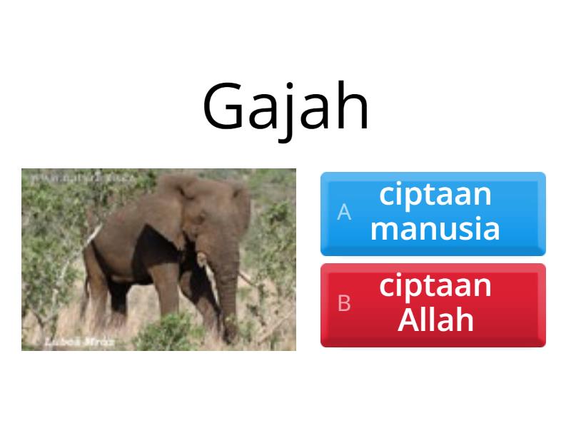 Ciptaan Allah Dan Ciptaan Manusia - Quiz