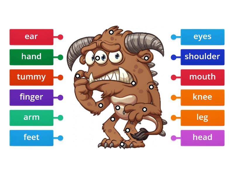 MY Monster- Body parts - Labelled diagram