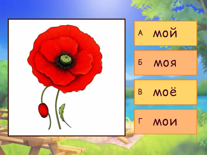 цветы. Мой-моя-мои - Quiz
