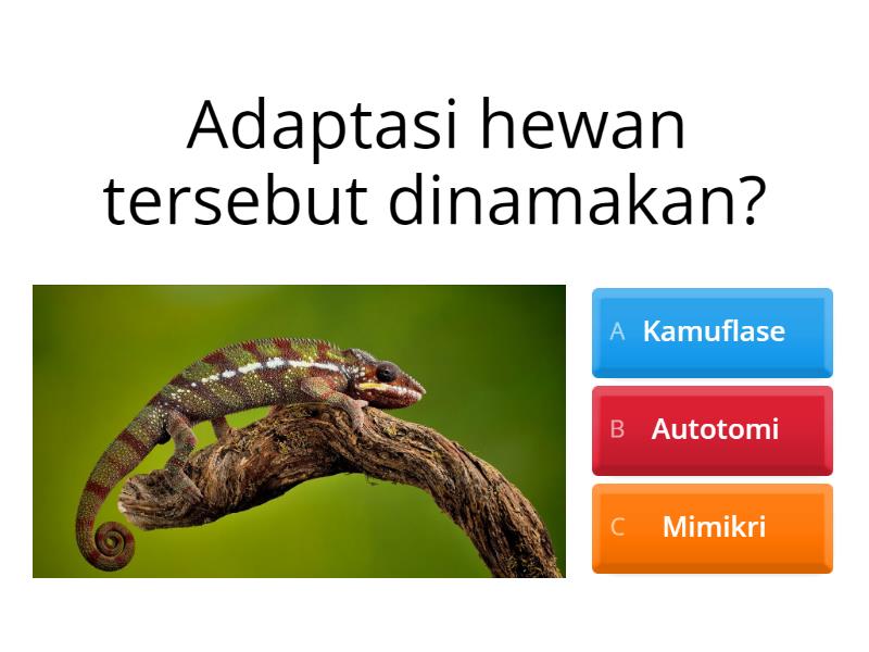 Adaptasi Hewan Quiz