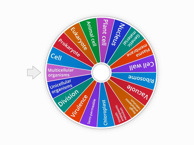 Cell biology vocabulary - Spin the wheel