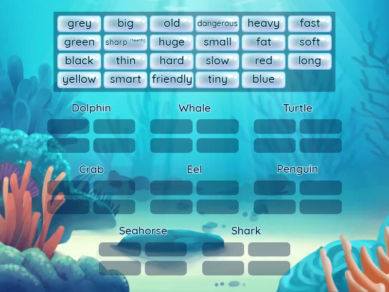 Describe These Sea Animals - Adjectives practice - Group sort