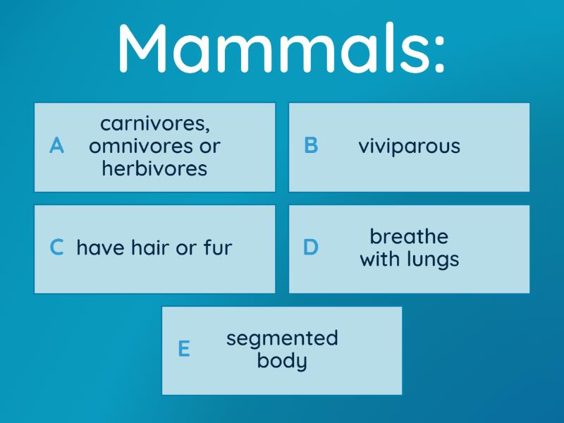 NS3_U2_Critter Classify! Quiz