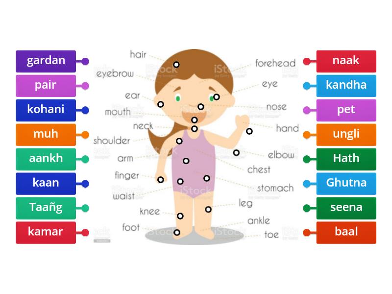 Hindi - Labelled diagram