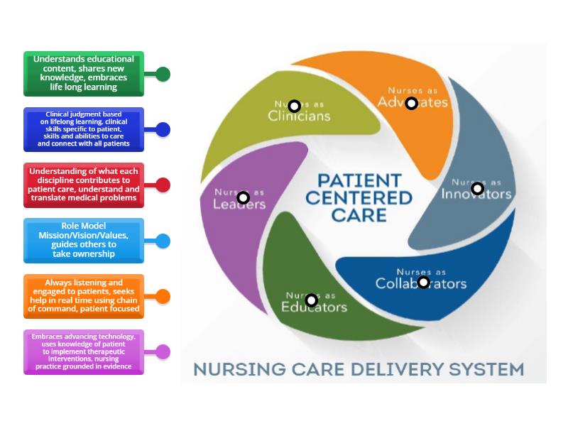 Professional Practice Model - Labelled diagram