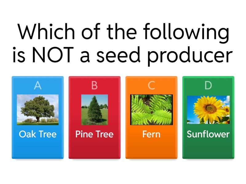 Science-Seed and Non Seed Producers - Quiz
