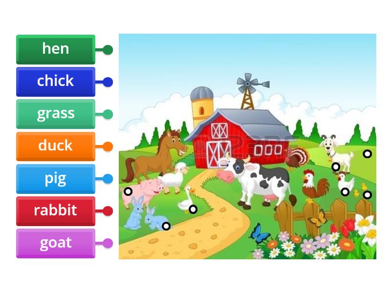 On the Farm - Labelled diagram