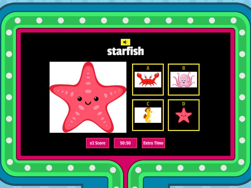 Sea animals gameshow quiz