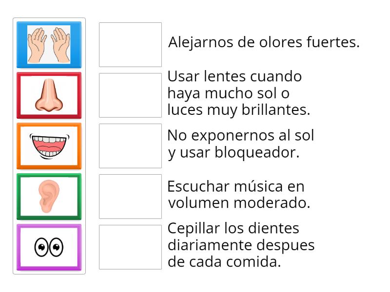 Cuido mis sentidos - Une las parejas