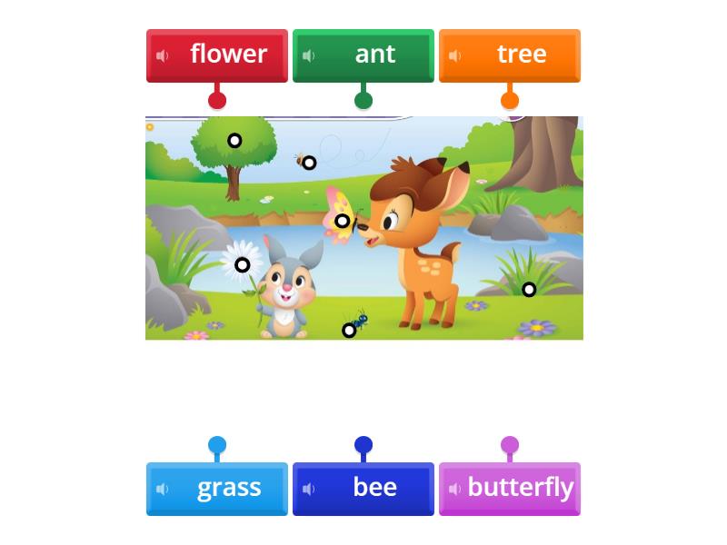1st grade: nature - Labelled diagram
