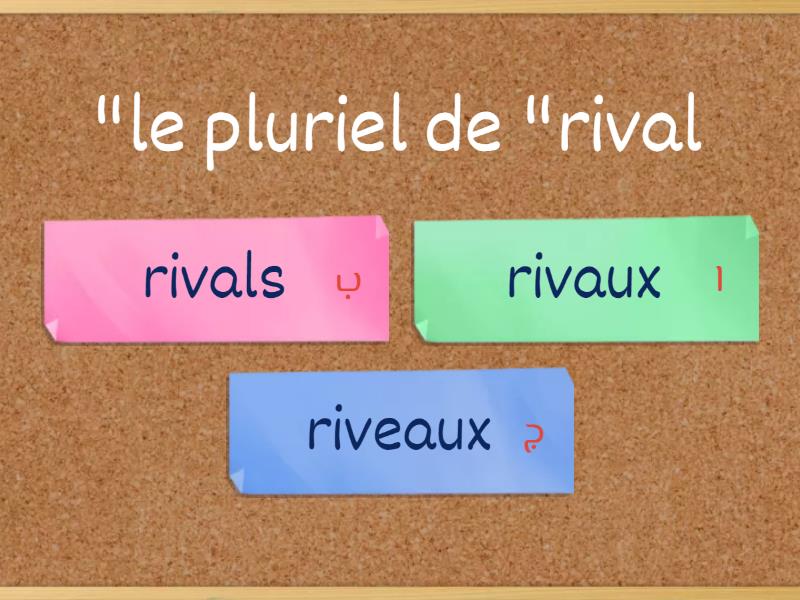 Le Pluriel Des Noms Quiz