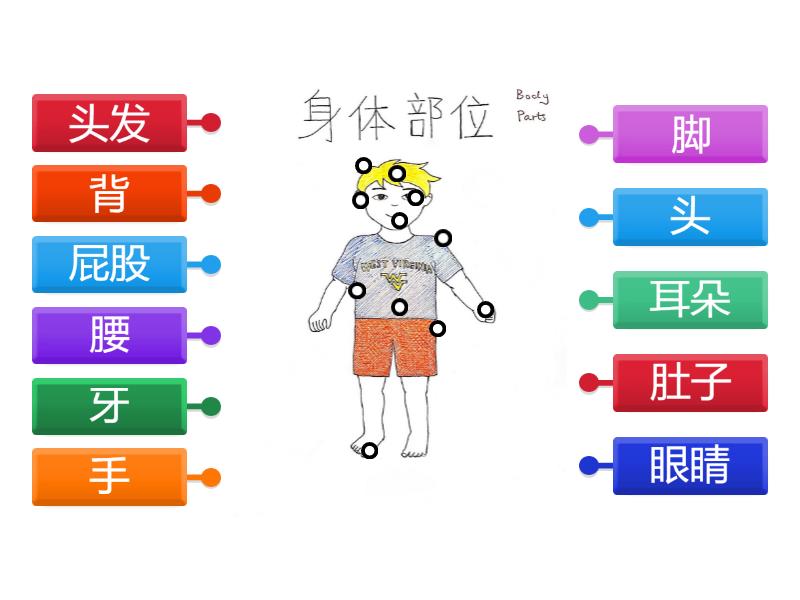 身体部位Body Parts - Labelled diagram