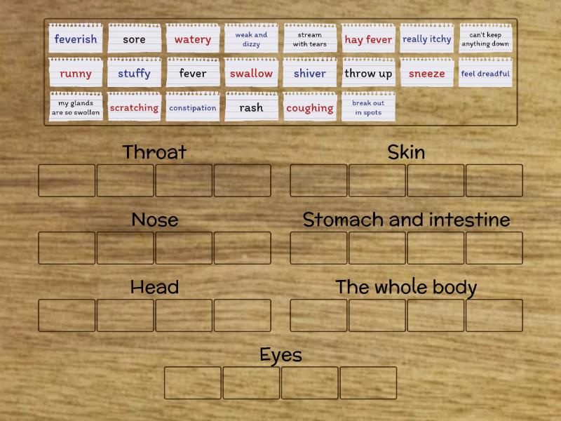 Vocabulary b2 english