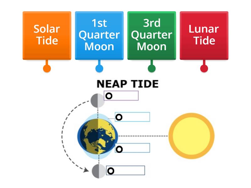 NEAP TIDE - Labelled diagram