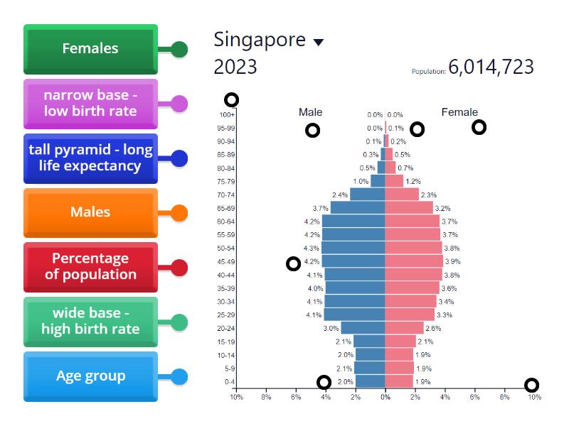 Population Pyramid- SINGAPORE - Labelled diagram