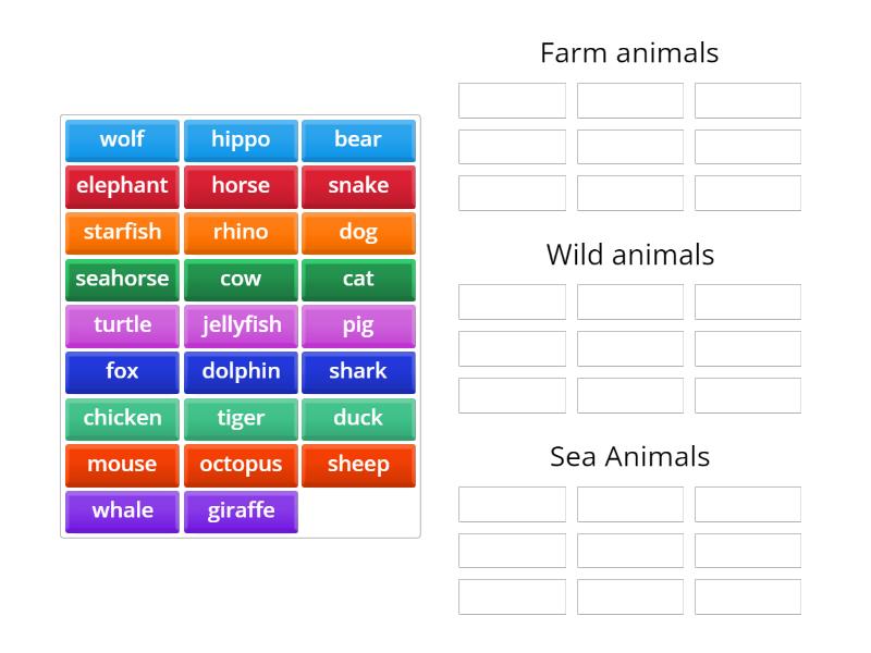 groups of animals wordwall