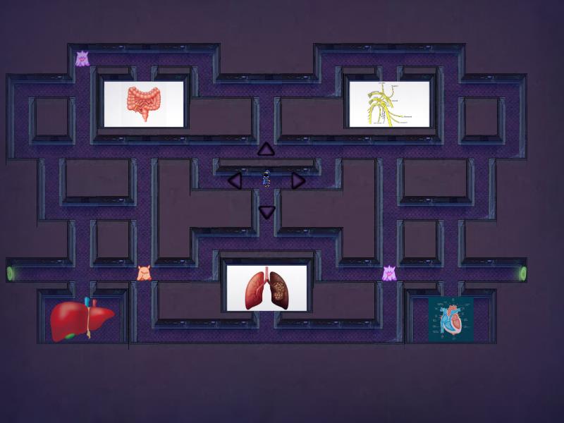 human circulatory system. - Maze chase