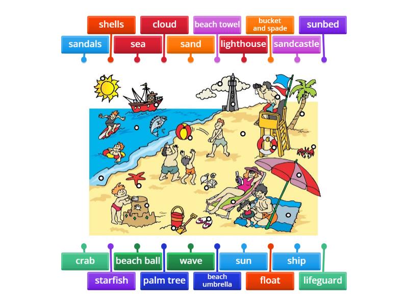 M32 At the beach - Labelling - Labelled diagram