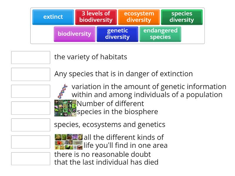 Types of Biodiversity - Match up
