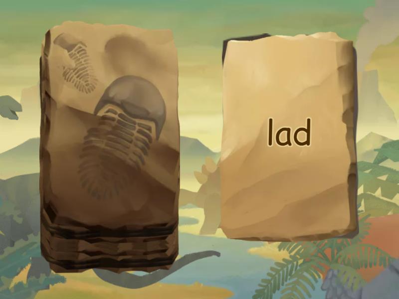 word family a Speaking cards