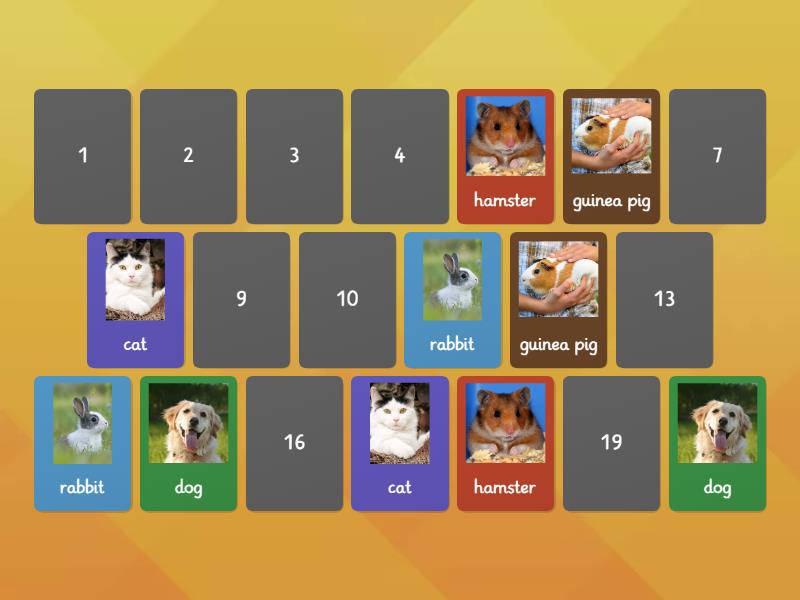 Pets Matching Matching Pairs