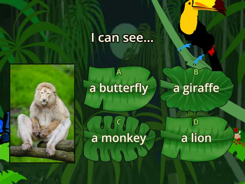 What animals can you see? - Quiz