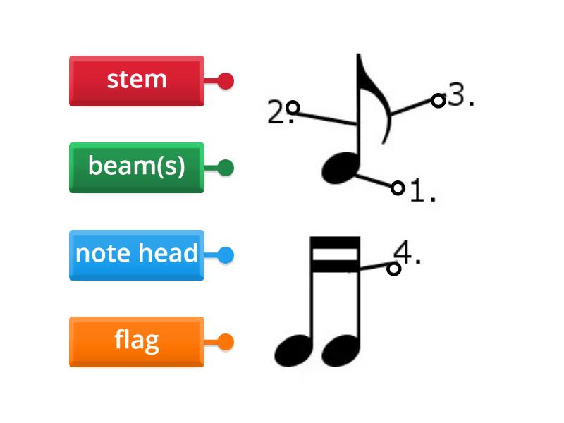 Parts Of A Note - Labelled Diagram