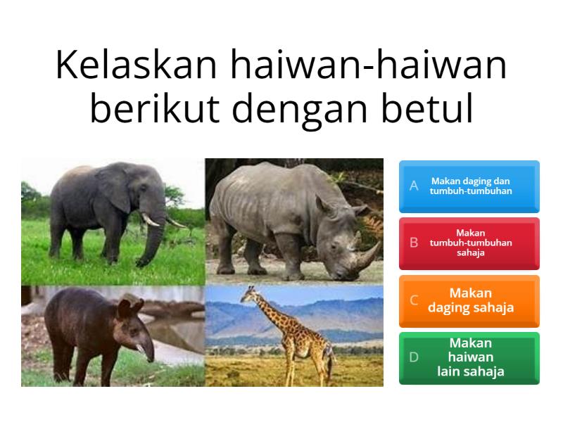 Tabiat Pemakanan Haiwan | Sains | Tahun 3 - Quiz