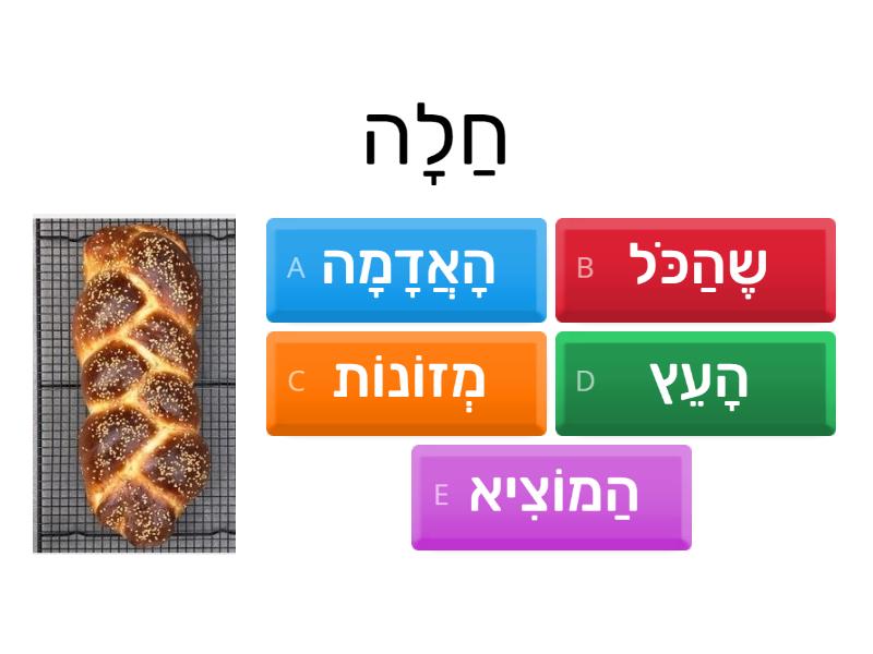 ?מַה מְבָרְכִים - Quiz