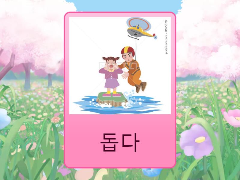 korean-present-tense-conjugation-regular-irregular-flash-cards