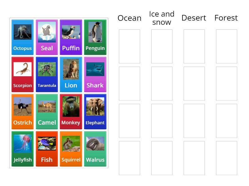 animal and its habitat - Group sort