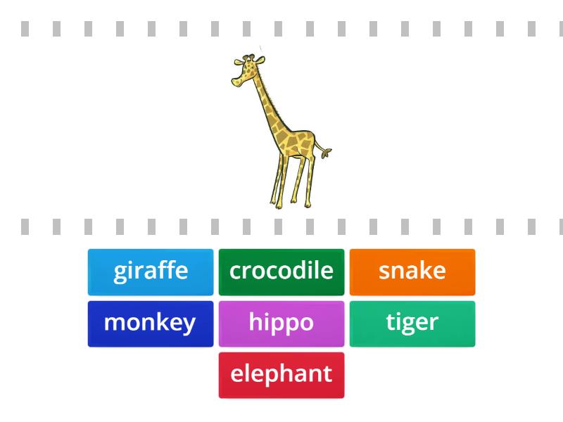 Kid's box 1. Unit 7. Wild animals. - Find the match