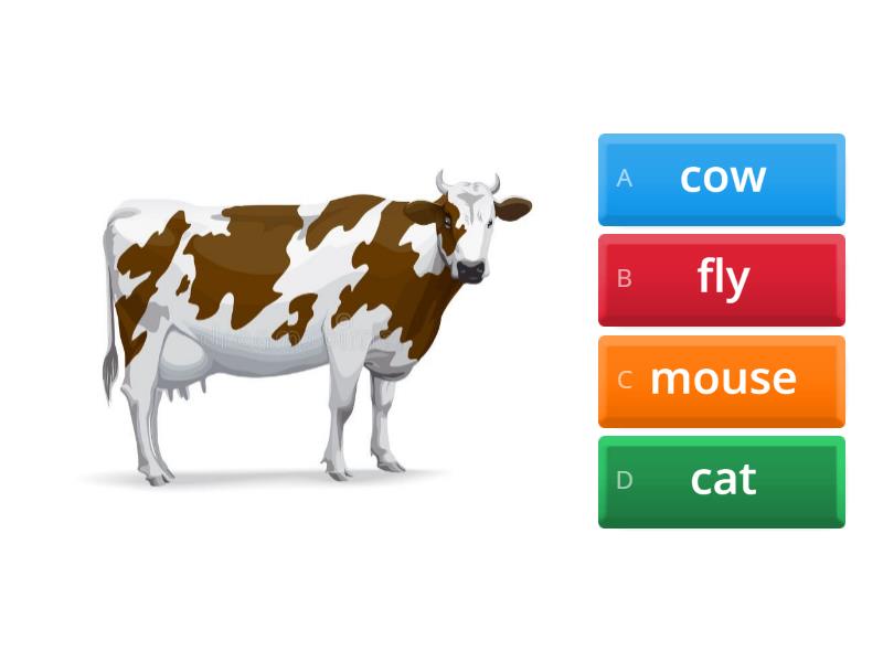 Starlight Starter. My animals. - Quiz