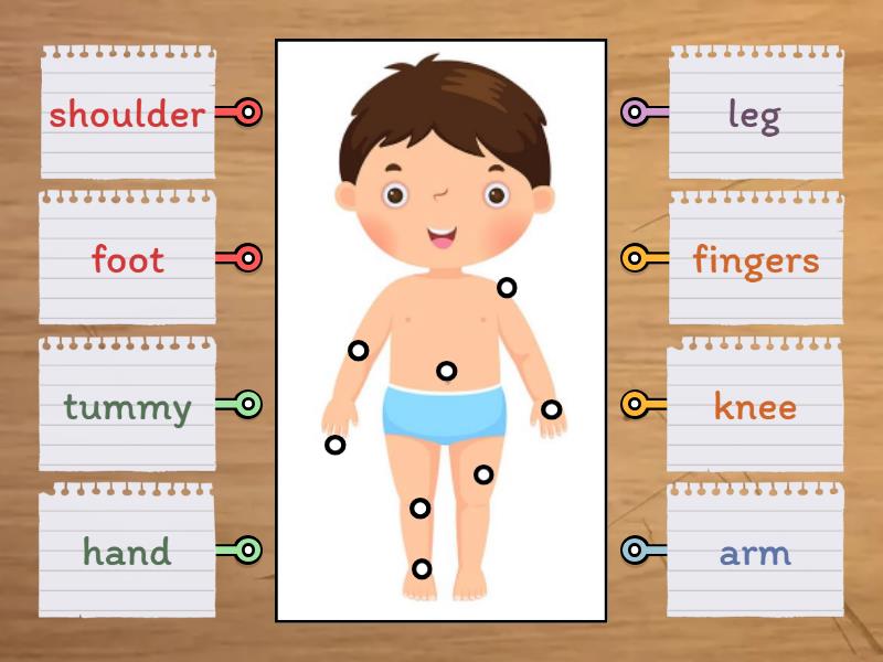 Parts of the body Biology Diagrams