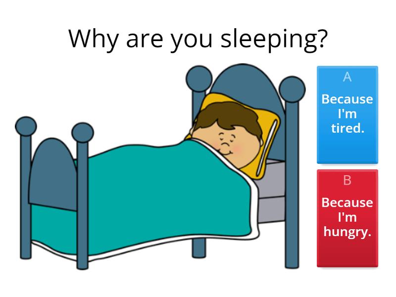 Why...? Because...! - Quiz