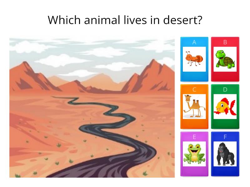 Animals And Their Habitats - Quiz